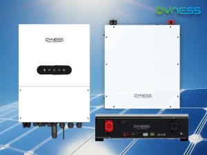 Dyness-5kw-Inverter-DL5-Battery-Combo-1.jpg